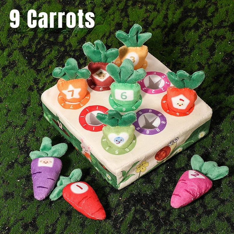 Baby Montessori Toy Toddler Fine Motor Skills Training Color Learning Educational Toys For Children Preschool Sensory Activity