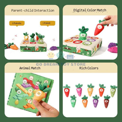 Baby Montessori Toy Toddler Fine Motor Skills Training Color Learning Educational Toys For Children Preschool Sensory Activity
