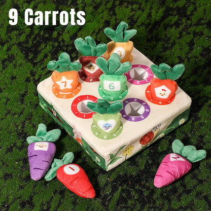 Baby Montessori Toy Toddler Fine Motor Skills Training Color Learning Educational Toys For Children Preschool Sensory Activity