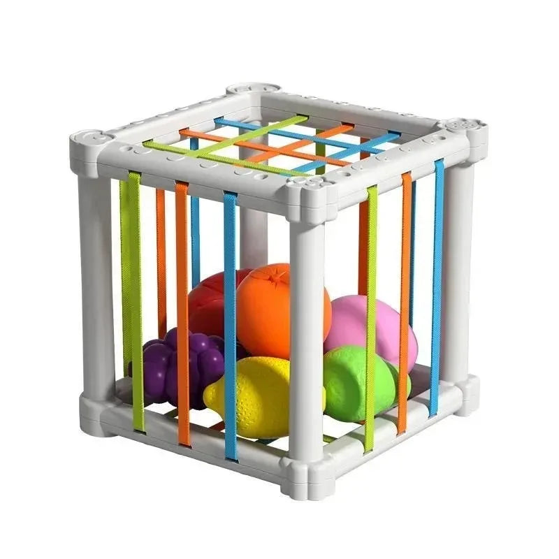 Baby Montessori Shape Sorter Cube Rainbow Colorful Blocks Sorting Game Infant Cognitive Grip Training Learning Educational Toy