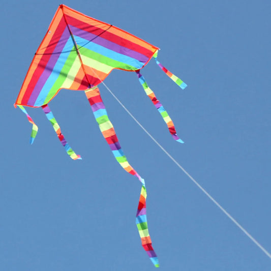 Easy Fly Colorful Rainbow Kite Outdoor Fun Sports Beach Kids Children